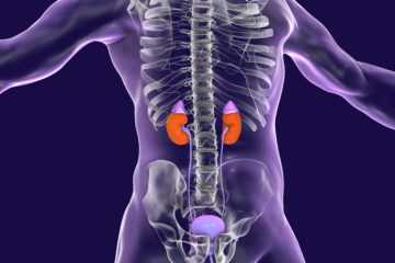 Research Medical Center performs historic eight-person kidney donation and transplant chain over two days